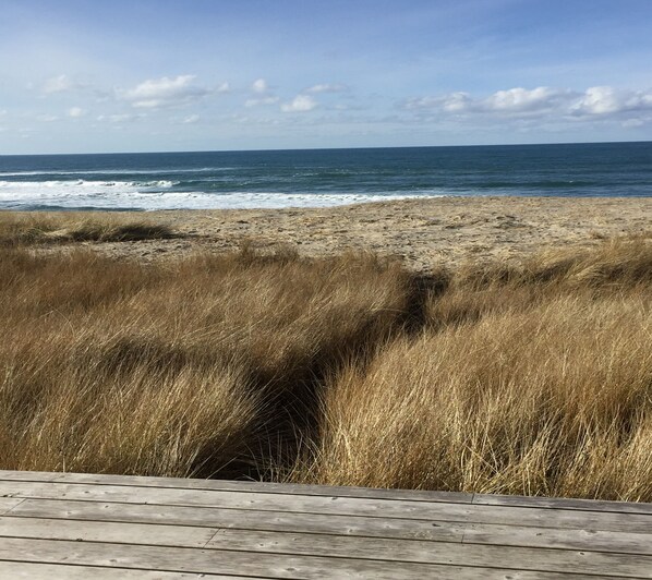 A beach with tall grass in the foreground and the ocean in the background. - Oceanfront With Memorable Surf And Haystack Rock Views (Pacific City)