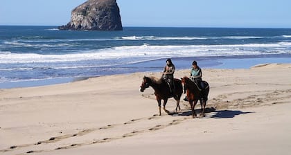 Oceanfront With Memorable Surf And Haystack Rock Views