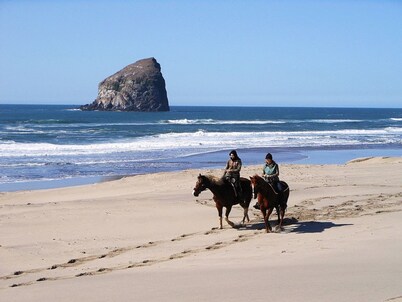 Oceanfront With Memorable Surf And Haystack Rock Views