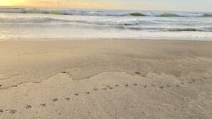 A beach with waves and footprints in the sand.