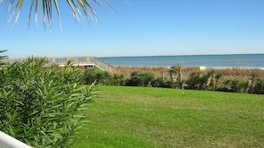 A grassy area with a wooden deck leading to the beach, surrounded by vegetation.