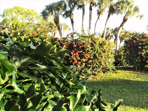 Property grounds - AWESOME CONDO  AT THE PLANTATION GOLF & COUNTRY CLUB (Venice)