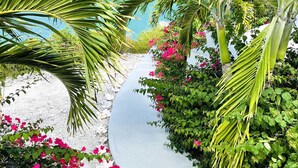 Un sendero bordeado de palmeras y buganvillas que conduce a una masa de agua.