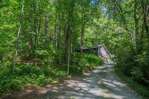 Vale Cottage nestled in the woods