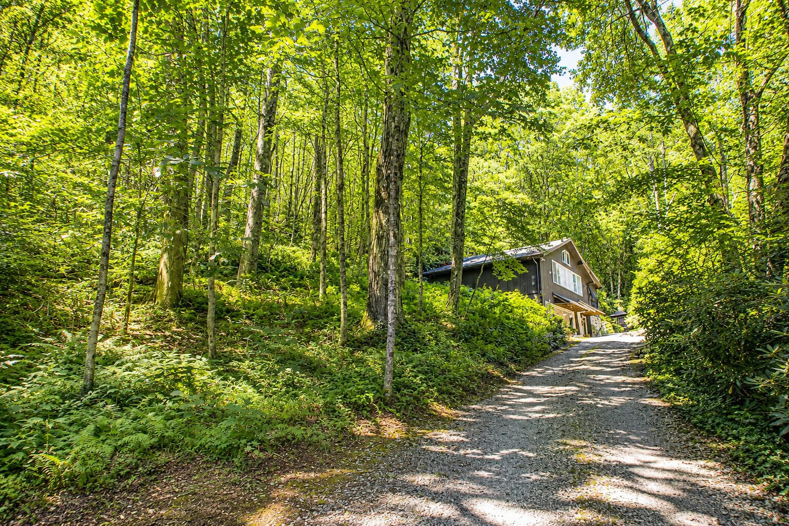 A forested area with a gravel path leading to a wooden cabin.