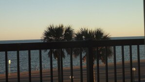 A coastal road with a metal railing, palm trees, and a clear sky.