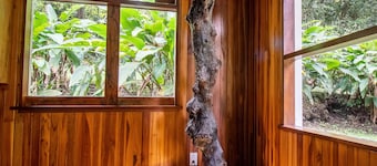 Forest Garden House, a Place to Enjoy Nature!
