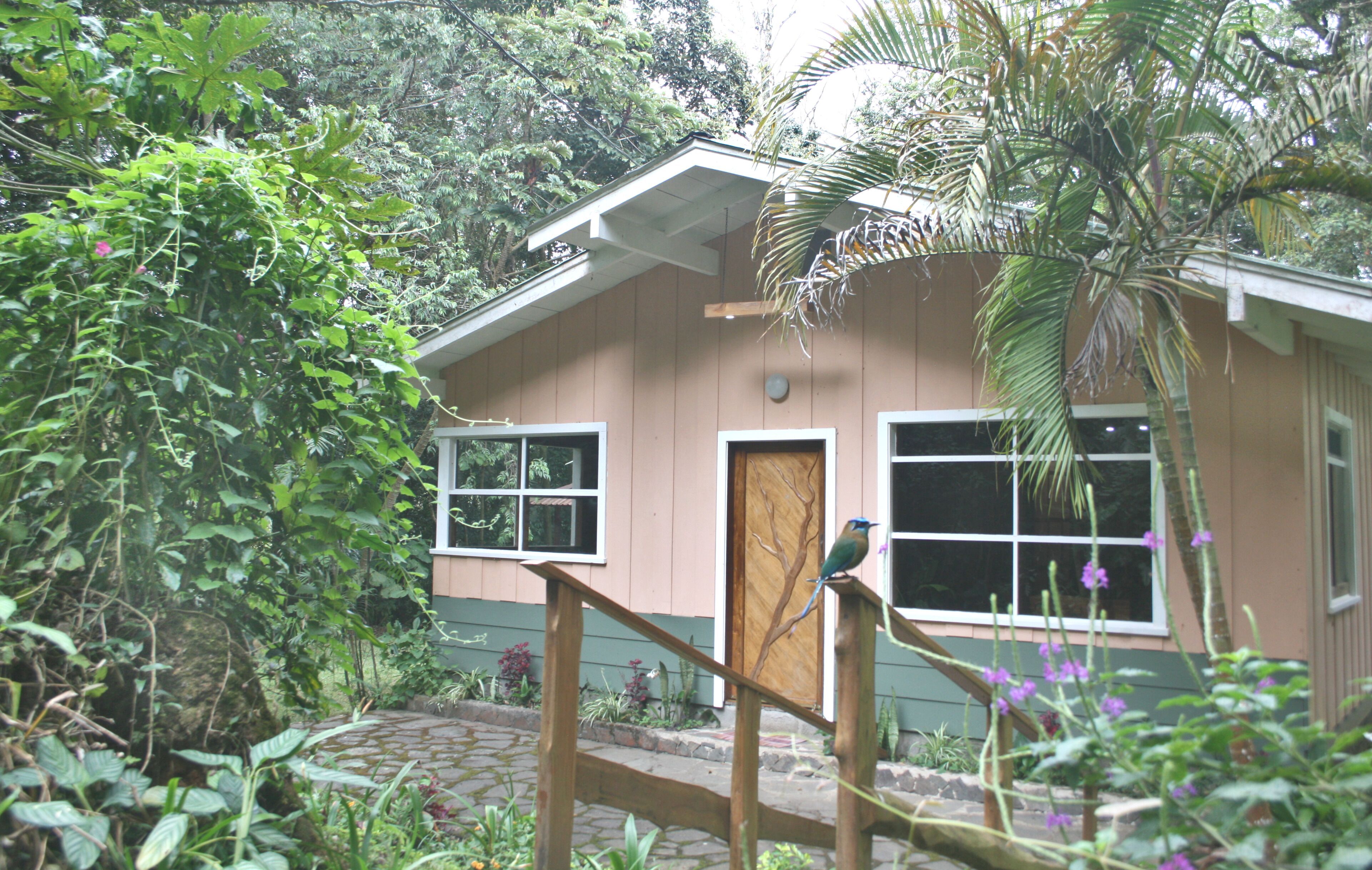 Una casa con una escalera de madera que lleva a una puerta, rodeada de abundante follaje y una palmera.