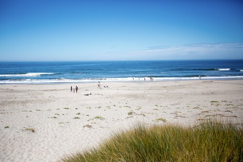 Ocean Front Condo Shorebirds 51