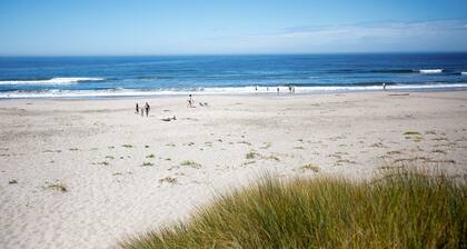 Ocean Front Condo Shorebirds 51
