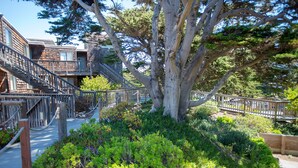 Un escalier en bois mène à un bâtiment doté d’un balcon, qui est entouré d’une végétation luxuriante et d’un grand arbre.