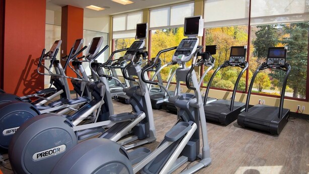 Une salle de sport équipée de plusieurs tapis de course et de vélos d’appartement, de grandes fenêtres donnant sur la verdure et d’un sol recouvert de moquette.