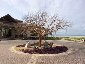 Property grounds - 26 SPRING-SUMMER DATES AVAILABLE IN 3 & 4-BEDROOM MONTECRISTO VILLA &OPTION AI… (Cabo San Lucas)