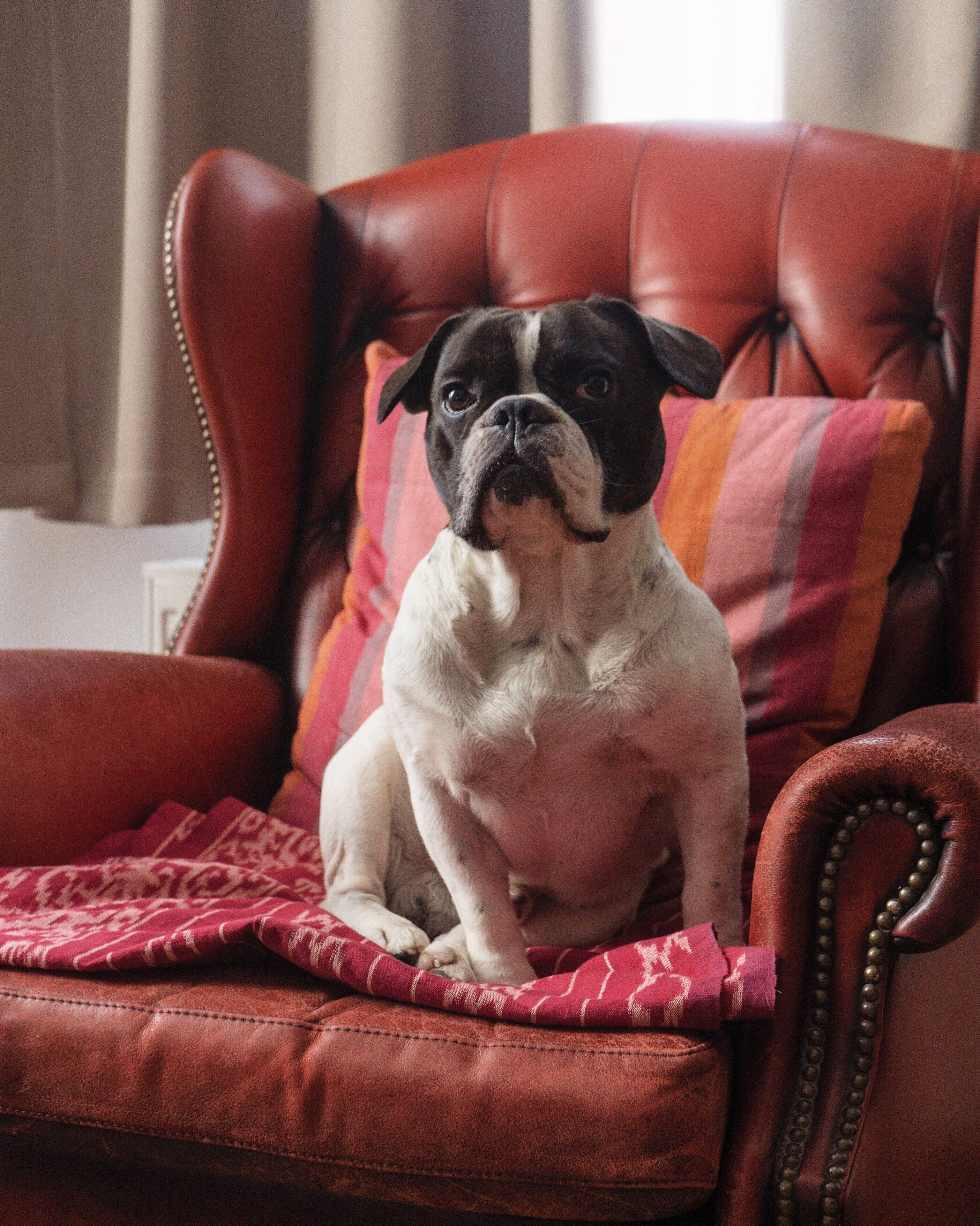 Photo - Lulu Guldsmeden