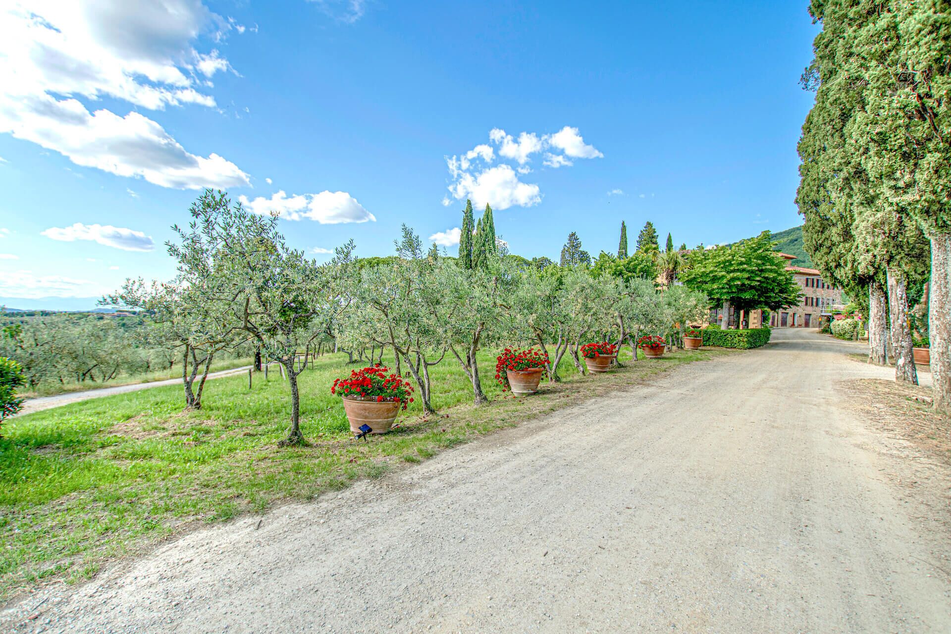 Áreas de la propiedad