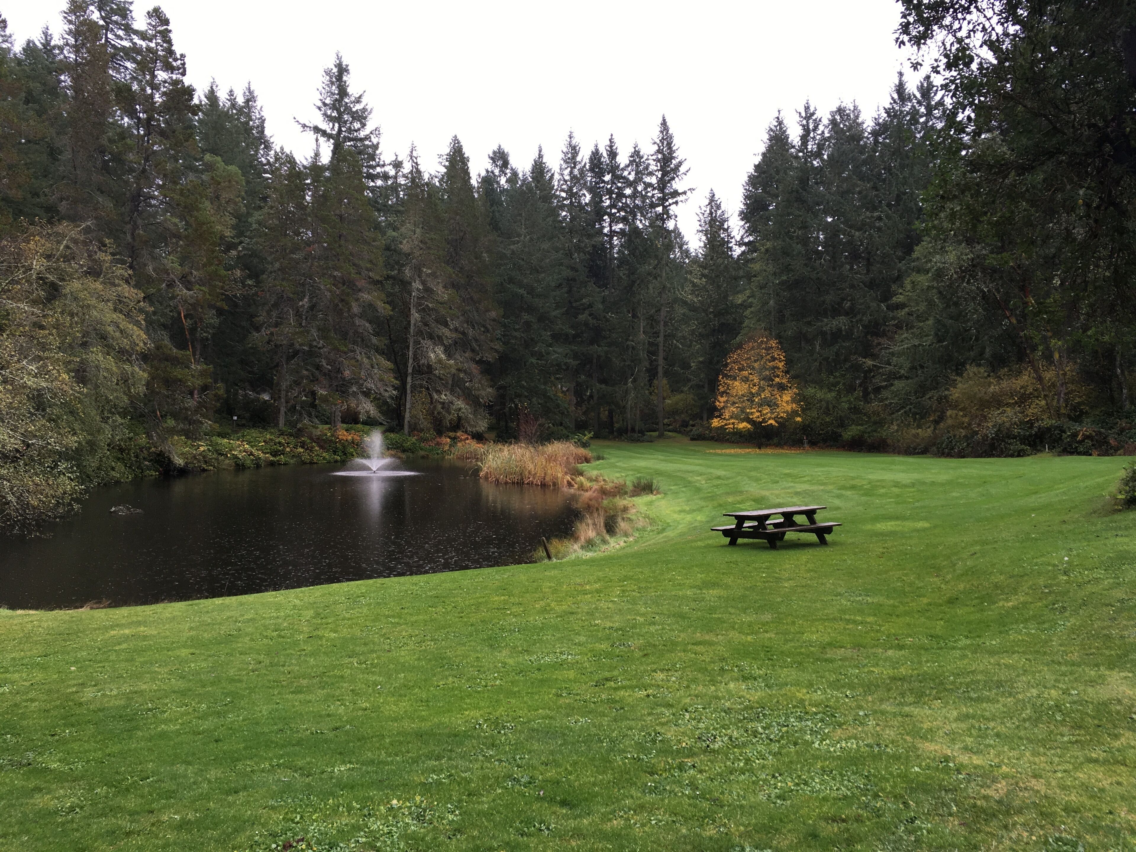 Un parc paisible avec un étang, une fontaine et une table de pique-nique.