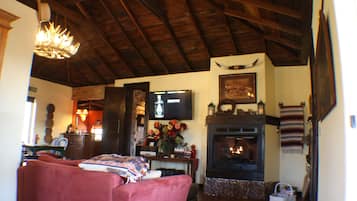 Smart-TV, Kamin, Bücher