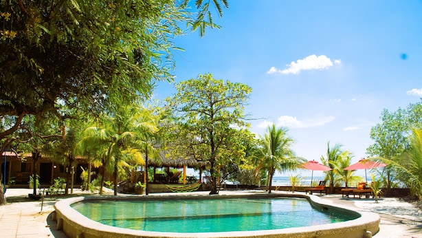 Zona de piscina con vista despejada al océano, rodeada de palmeras y una estructura de techo de paja.