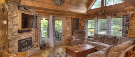 电视、壁炉、DVD 播放器