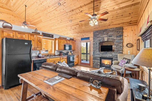 TV, fireplace, DVD player