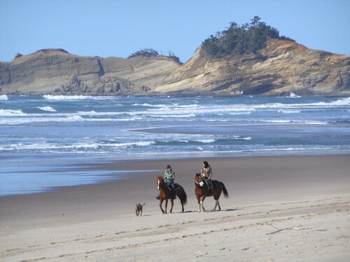 Dory Pointe Beach Home-Pet Friendly-Backs up to Forest-Walk 2 Blocks to Beach