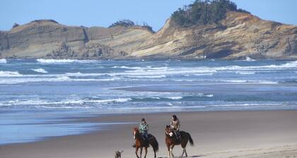 Dory Pointe Beach Home-Pet Friendly-Backs up to Forest-Walk 2 Blocks to Beach