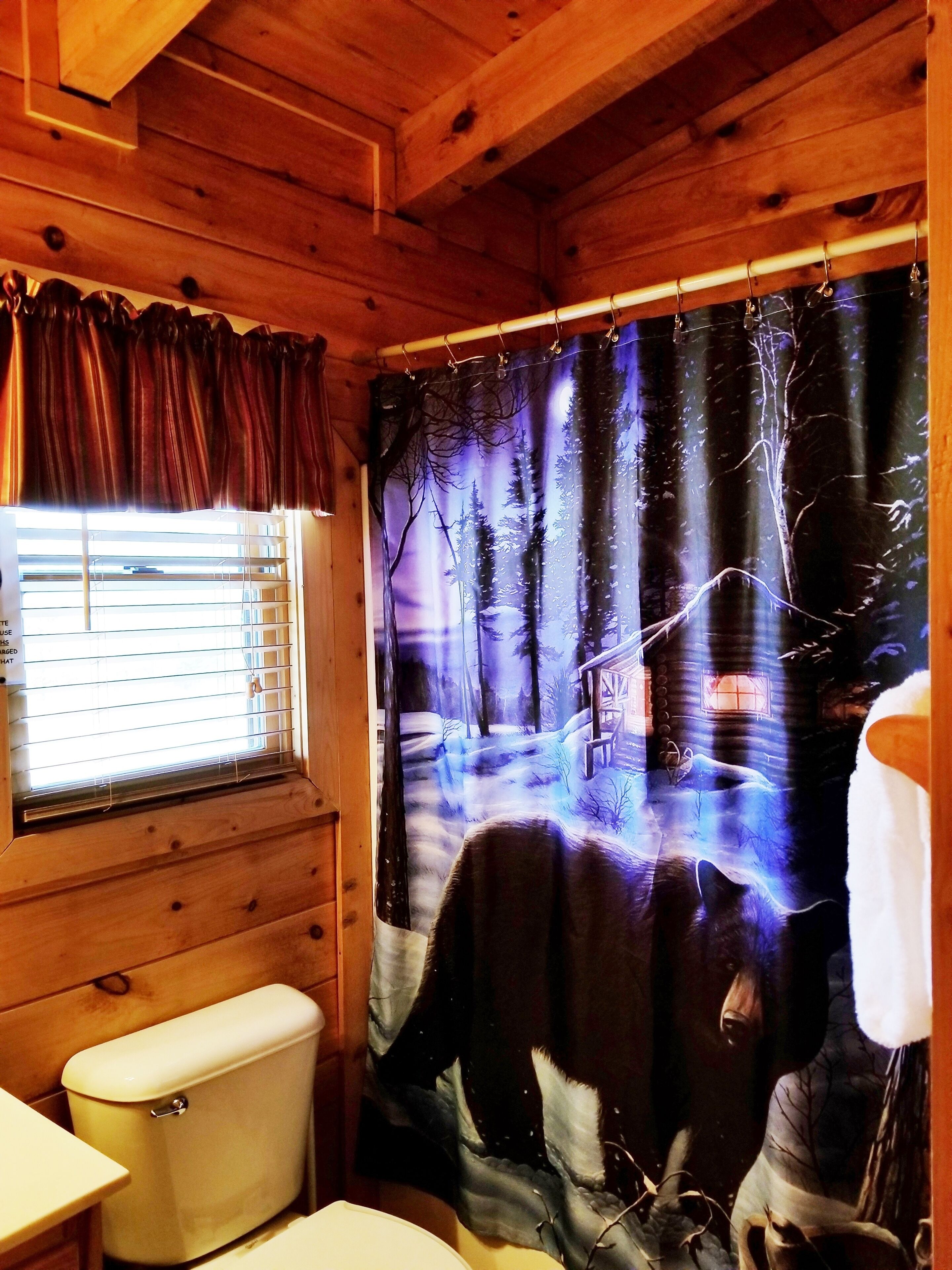 A bathroom with a wooden interior, a toilet, a sink, and a window with blinds.