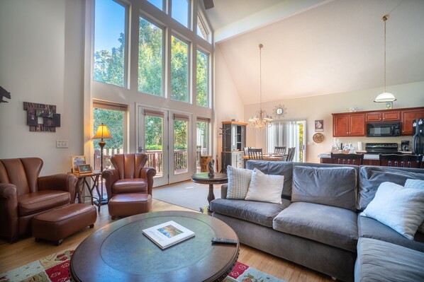 TV, fireplace, ping pong, books