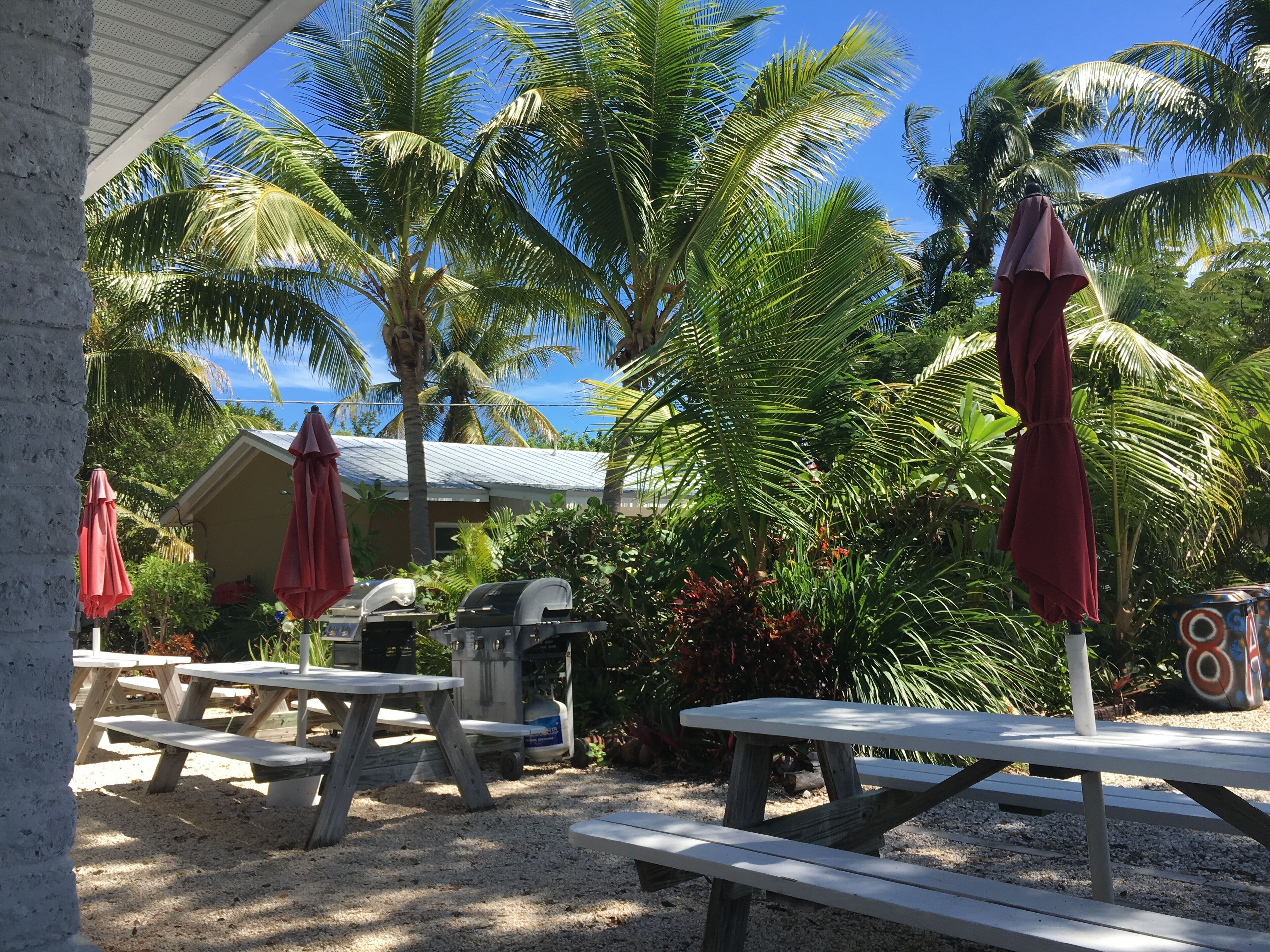 A covered outdoor area with picnic tables and red umbrellas, surrounded by palm trees and a house with a blue roof.