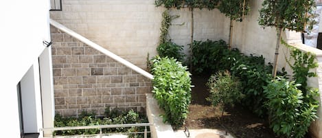 A courtyard with a brick wall, a metal railing, and various plants.