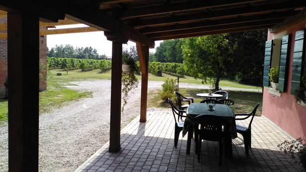 Eine Terrasse im Freien mit Tisch und Stühlen, eine Ziegelmauer und Blick auf einen Weinberg.