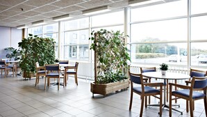 A spacious indoor area with large windows, wooden chairs, and potted plants. - Danhostel Ringkøbing (Ringkobing)