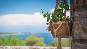 A hanging basket with plants against a stone wall, overlooking a scenic landscape with a body of water and greenery. - Akritas (Pylos-Nestoras)