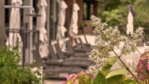 Un jardín con flores blancas y un edificio con fachada de ladrillo y toldos blancos.
