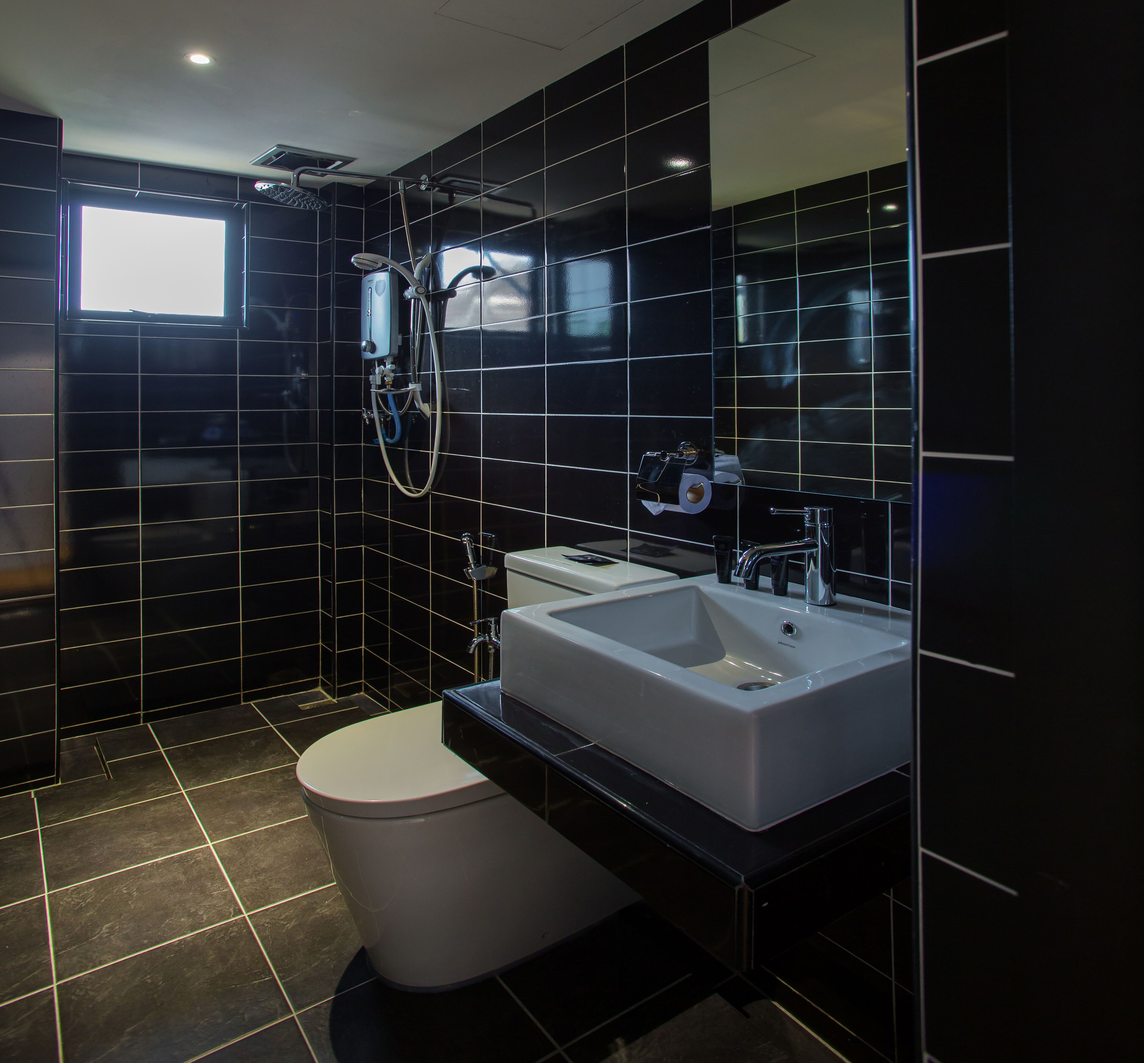 shower, free toiletries, hair dryer, slippers