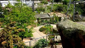 Un jardín con diversas plantas y un pequeño edificio.