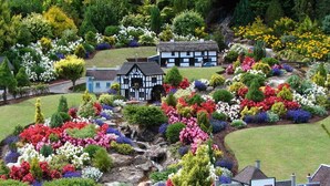 Un pueblo modelo con diversos edificios, incluyendo una casa azul y una casa blanco y negro, rodeado de coloridas jardineras y árboles.