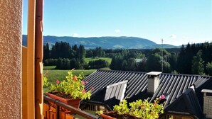 Double or Twin Room | View from room - Hotel Ristorante Belvedere (Roana)