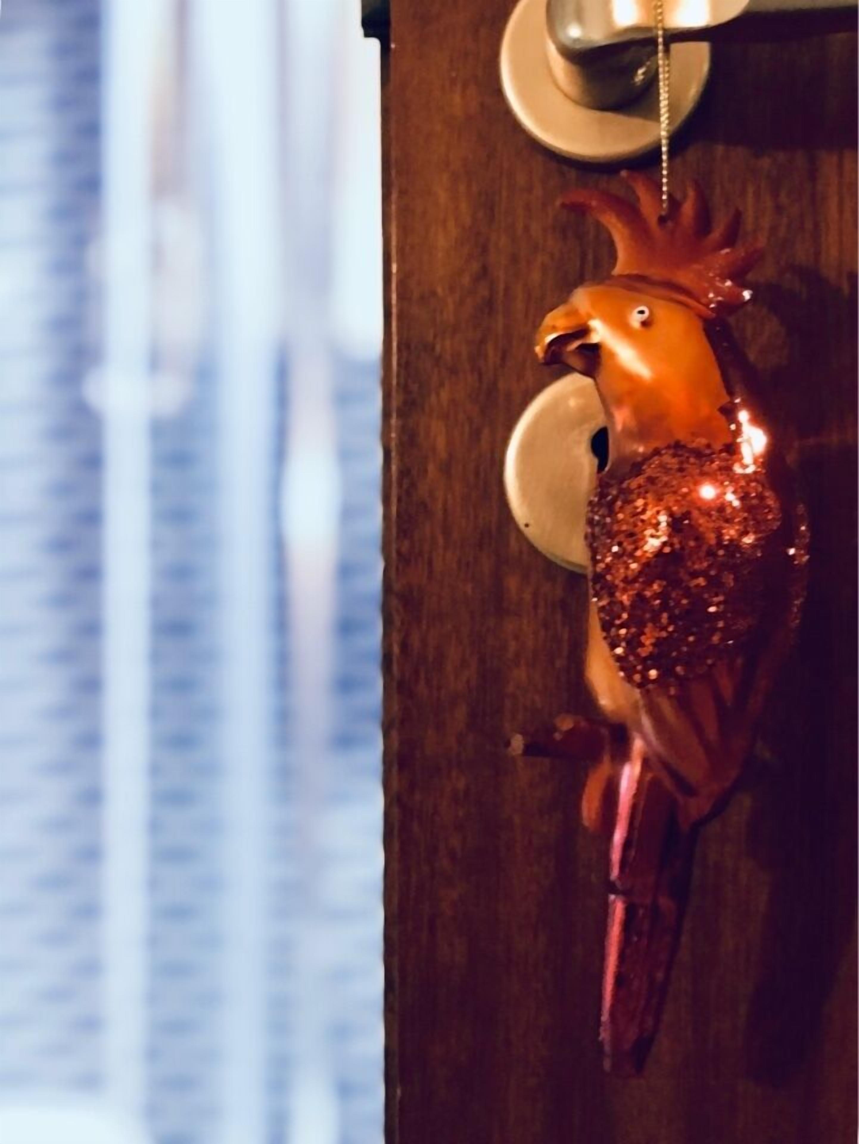 Une porte en bois ornée d’une poignée de porte en forme d’oiseau.