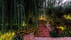 Una escalera de piedra rodeada de abundante follaje y plantas en flor.