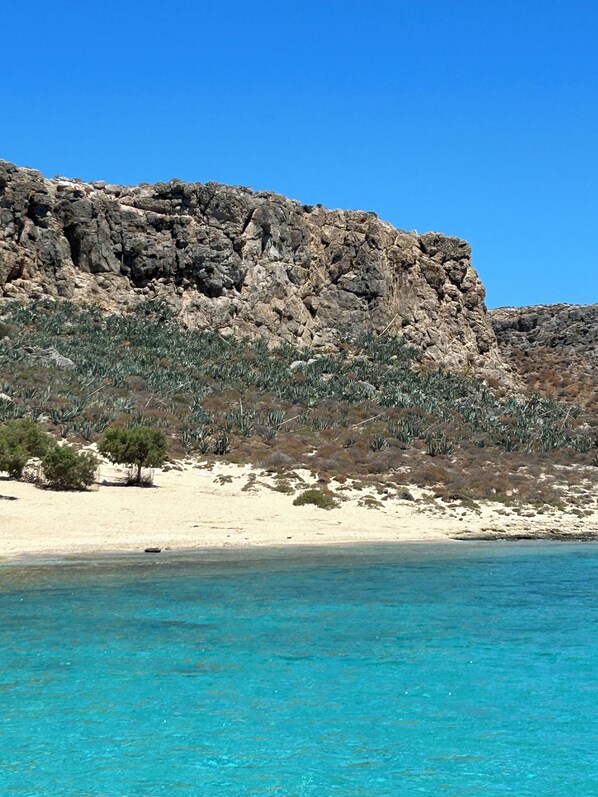 A rocky coastline with clear turquoise water and sparse vegetation.