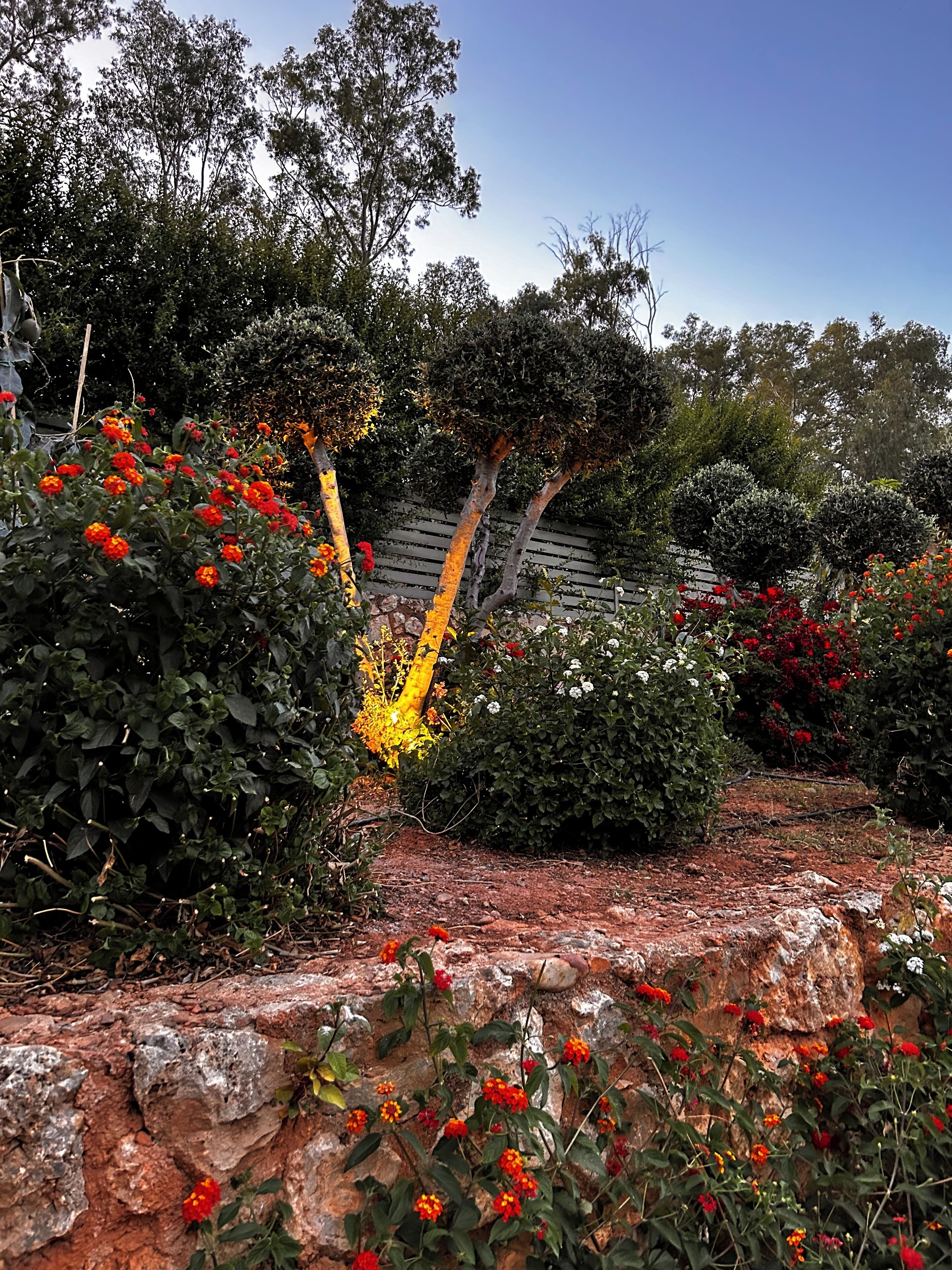 Um jardim com diversas plantas e flores, um muro de pedra e uma cerca de madeira.
