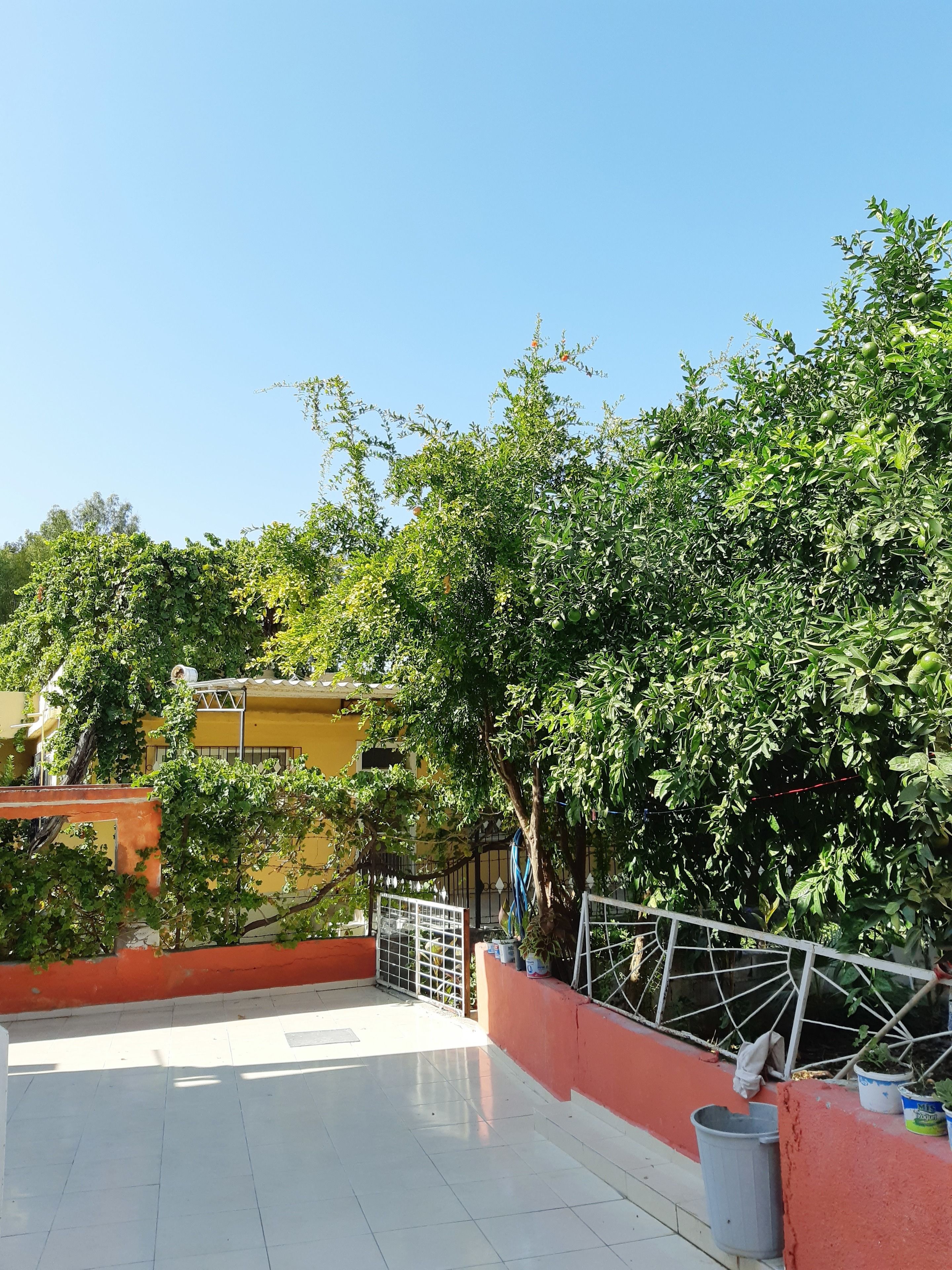 Una terraza en la azotea con suelo de baldosas, baranda metálica y vistas de edificios y vegetación circundantes.