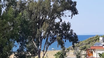 Vista desde la propiedad