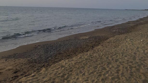 Una playa con arena clara y un mar tranquilo bajo un cielo nublado.
