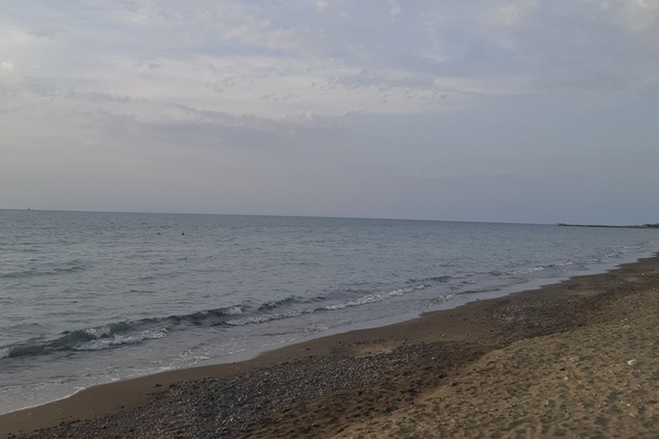 Private beach, beach shuttle, beach umbrellas, beach towels