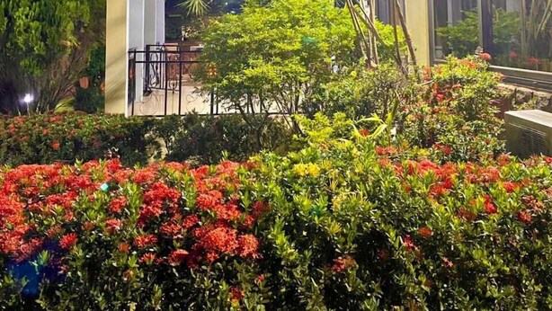A two-story building with a balcony, surrounded by lush greenery and vibrant flowers. - GHouse Accra (Adenta)