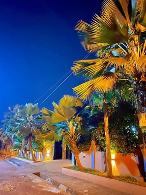 Calle nocturna bordeada de palmeras e iluminada por farolas.