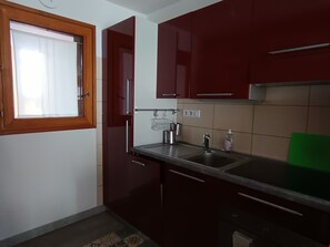 Fridge, oven, stovetop, dishwasher - Ski-in/ski-out apartment with large terrace, pet friendly, closed garage (Montgenèvre)