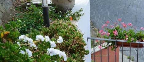 Una escalera con pared blanca, una planta en maceta y una barandilla.